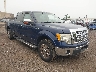 1FTFW1EV9AF****** Salvage and Wrecked 2010 Ford F-150 in Avenel New Jersey