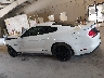 1FA6P8CF6K5****** Reparables 2019 Ford Mustang en Estado de Tennessee