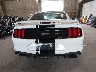 1FA6P8CF6K5****** Destrozados 2019 Ford Mustang