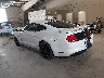 1FA6P8CF6K5****** Salvamento y Reparables 2019 Ford Mustang en Chattanooga