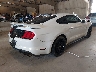 1FA6P8CF6K5****** Salvamento y Destrozados 2019 Ford Mustang en Estado de Tennessee