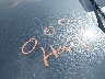 5XYK6CAF8PG****** Salvage and Repairable 2023 Kia Sportage in South Dakota State