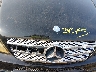4JGAB54E51A****** Repairable 2001 Mercedes-Benz Ml 320 in Long Island