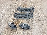 1FA6P8TH9L5****** Destrozados 2020 Ford Mustang en Estado de Texas