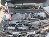 5NTJDDDF1RH****** Repairable 2024 Hyundai Santa Cruz in Tampa North