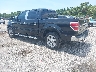 1FTFW1CV8AF****** Salvage and Repairable 2010 Ford F-150 in Tampa North