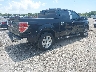 1FTFW1CV8AF****** Salvage and Wrecked 2010 Ford F-150 in Florida State