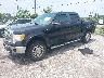 1FTFW1EV8AF****** Usados y Reparables 2010 Ford F-150 en Jacksonville