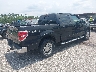 1FTFW1EV8AF****** Salvamento y Destrozados 2010 Ford F-150 en Estado de Florida