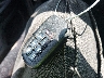 5FNRL6H65TB****** Salvage 2026 Honda Odyssey in Ohio State