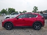 JM3KFBCMXM0****** Salvamento 2021 Mazda CX-5