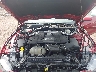 1FA6P8CF6L5****** Reparables 2020 Ford Mustang en Cleveland