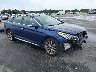 5NPE34AF4GH****** Salvage and Wrecked 2016 Hyundai Sonata in Clearwater