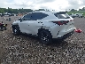 2T2GGCEZ2SC****** Salvamento y Reparables 2025 Lexus NX en Knoxville