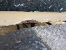 OML2F16***** Wrecked 1999 Javelin 20'