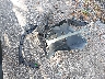 2T3C1RFVXMC****** Destrozados 2021 Toyota RAV4 en Estado de Florida