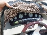 PMY4170***** Salvage 2008 Premier 250 Grand Majestic Tri-toon in Concord