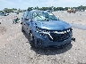 3GNAXHEG7RL****** Salvage and Wrecked 2024 Chevrolet Equinox in Clearwater