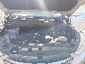 5XYZUDLB9GG****** Repairable 2016 Hyundai Santa Fe in Birmingham