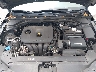 KMHD84LFXKU****** Repairable 2019 Hyundai Elantra in Clearwater