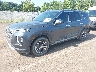 KM8R24HEXMU****** Used and Repairable 2021 Hyundai Palisade in Grenada