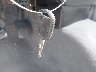 1FTRX12W15F****** Salvamento 2005 Ford F-150 en Estado de Luisiana