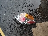 1N4AL2APXCN****** Wrecked 2012 Nissan Altima in Connecticut State
