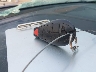1C4PJMCB4KD****** Salvage 2019 Jeep Cherokee in Ohio State