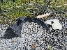 JF2GPACC9EH****** Destrozados 2014 Subaru XV Сrosstrek en Estado de Virginia Occidental