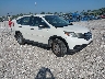 5J6RM3H35EL****** Salvamento y Destrozados 2014 Honda CR-V en Springfield
