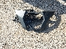 3NSR4D922RG****** Destrozados 2024 Polaris RZR en Estado de Texas