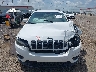 1C4PJLLB9LD****** Used 2020 Jeep Cherokee in Louisiana State