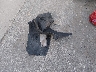 2GNFLFEK2G6****** Wrecked 2016 Chevrolet Equinox in Illinois State