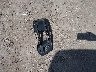 WA1LAAF77JD****** Destrozados 2018 Audi Q7 en Estado de Texas