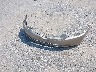 1HGCM56433A****** Wrecked 2003 Honda Accord in Virginia State