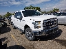 1FTEW1EG4GK****** Salvage and Wrecked 2016 Ford F-150 in Denver East