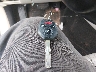 4S4BRBLC0E3****** Salvage 2014 Subaru Outback in North Carolina State