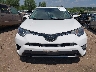 JTMRFREV2HJ****** Destrozados 2017 Toyota RAV4 en Estado de Minnesota