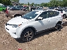 JTMRFREV2HJ****** Usados y Reparables 2017 Toyota RAV4 en Minneapolis Saint Paul