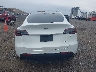 7SAYGDEE5PF****** Wrecked 2023 Tesla Model Y