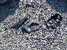 3VWSK69M34M****** Wrecked 2004 Volkswagen Jetta in West Virginia State