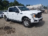 1FTEW1E5XKK****** Salvamento y Destrozados 2019 Ford F-150 en Jackson