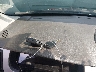 1FAHP37N89W****** Salvage 2009 Ford Focus in Virginia State