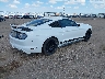 1FA6P8CF0G5****** Salvamento y Destrozados 2016 Ford Mustang en Estado de Texas