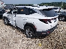 5NMJB3AE8PH****** Salvage and Repairable 2023 Hyundai Tucson in Fayetteville