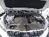 5XYPKDA50KG****** Repairable 2019 Kia Sorento in Shady Spring