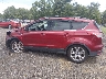 1FMCU0H91DU****** Salvamento 2013 Ford Escape