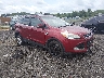 1FMCU0H91DU****** Salvamento y Destrozados 2013 Ford Escape en Greenville