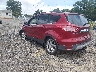 1FMCU0H91DU****** Salvamento y Reparables 2013 Ford Escape en Greenville