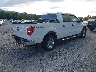 1FTFW1EF7DK****** Salvage and Wrecked 2013 Ford F-150 in Virginia State